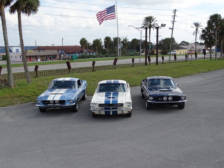 Rare and Registered! Three Shelby Mustangs for auction