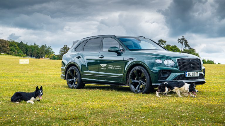 Bentley raises the woof at Goodwood’s Festival for dogs